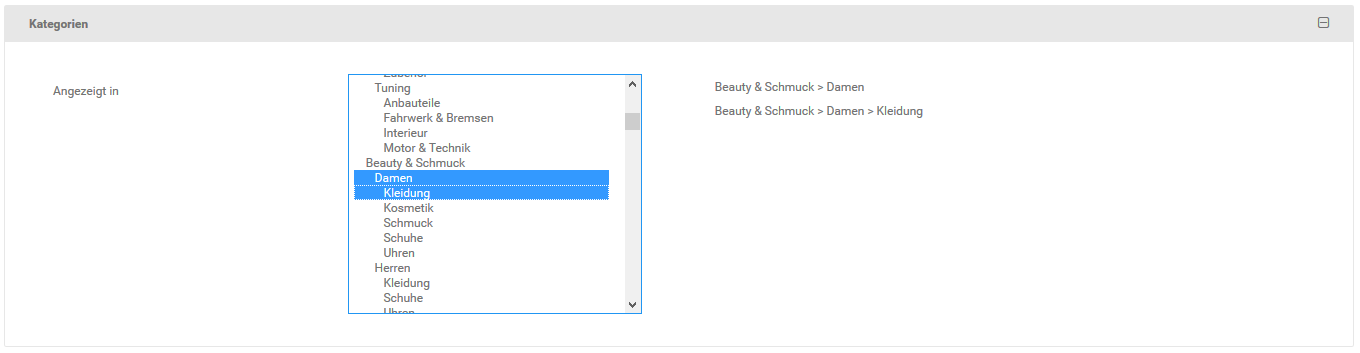 Abb087_ArtikelmaskeKategorienSelect.png