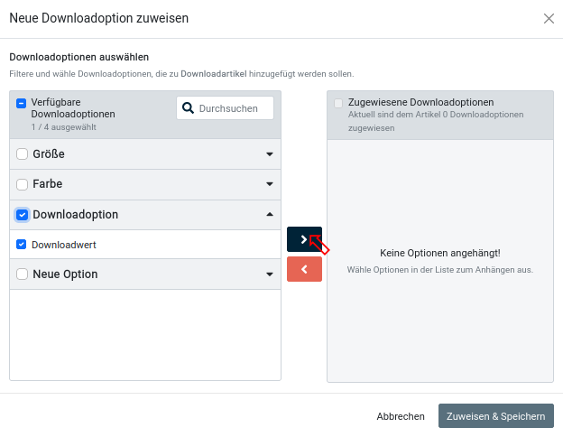 ArtikelUNDKategorien_Zusatzfunktionen_Downloadartikel45_WertZuweisen_013_NeueDownloadoptionZuweisenAusgewaehlt.png