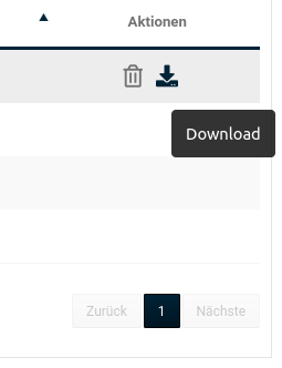 Download-Symbol im Tab Anhänge