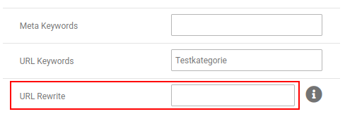 _**URL Rewrite**_ für Kategorie