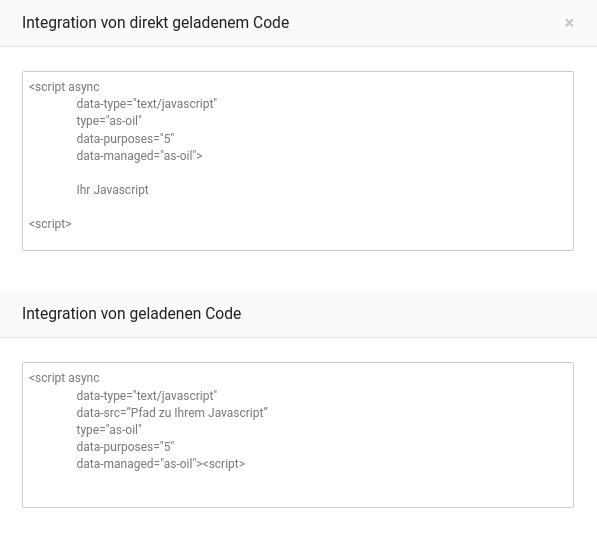 Codebausteine für die Integration von JavaScript-Code