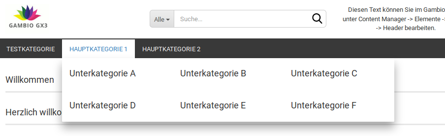 Unterkategorien im Mega-Dropdown