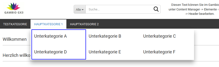 Ein Block aus Unterkategorien im Mega-Dropdown