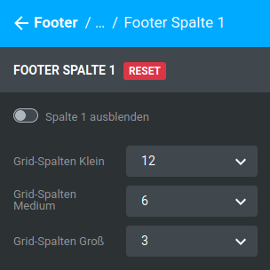 Einstellungen unter _**Bereiche / Footer / Standard / Footer Spalte 1**_ (beispielhaft für alle Footer Spalten)