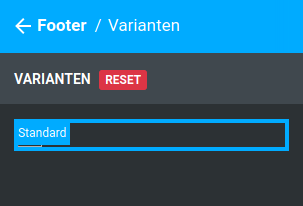 Anzeige unter _**Bereiche / Footer / Varianten**_